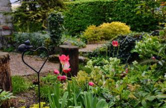 Gîte authentique près Zoo de Beauval et Châteaux - Photo 38