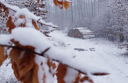 Ferienhaus Britta Kietzmann - Foto 34