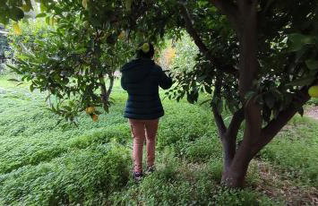 Garden house - Photo 50