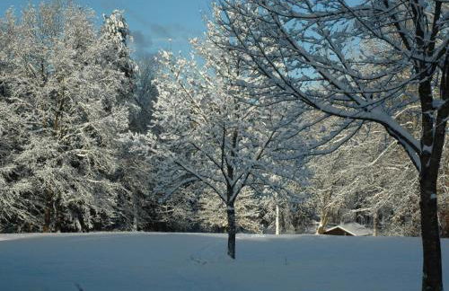 Holiday Home Vanessa by Interhome - Foto 18