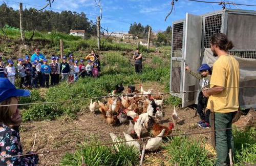 Quinta do Pinheiro - Foto 47