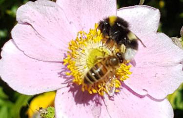 Old Bake House Cottage @ Cwm Mill - Photo 27