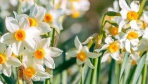 Skoza farm house - Foto 2