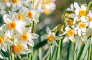 Skoza farm house - Foto 2