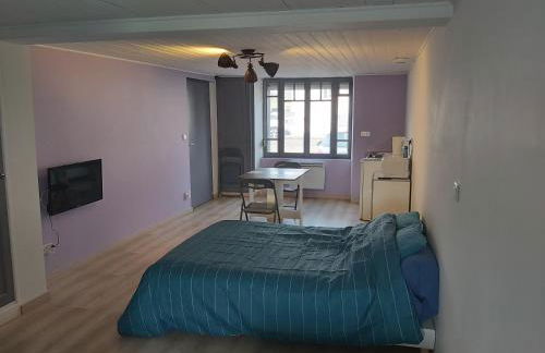 Hébergements Sylvain - Foto 46