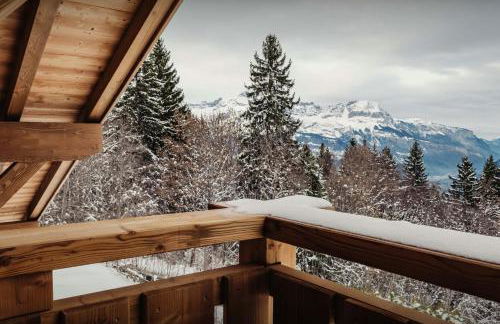 Chalet Alpage du Bettex - OVO Network - Foto 9