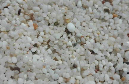 casa vacanza laguna - Foto 9