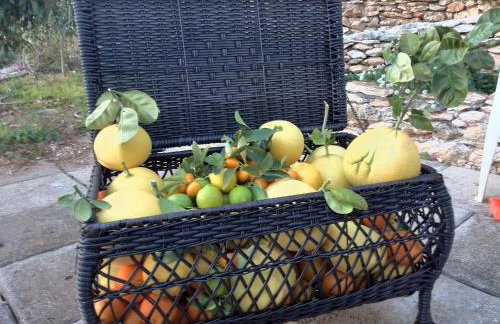 Apartment Pilatus Ošljak - Photo 31