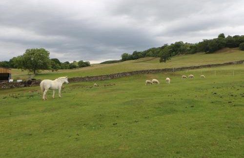 Low Shipley Mill - Foto 73