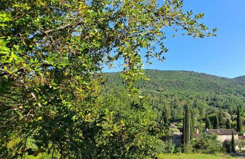 3 Bed House Sleeps 8 -Private Garden -Pets Ok - Foto 42