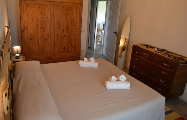 Rinidia Bio - Foto 40