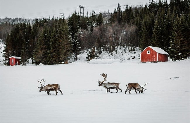 By the Sea Luxury Villa - Foto 23