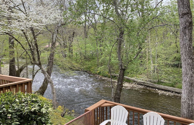 Gray's Place on Cosby Creek - 2 Bedrooms, 2 Baths, Sleeps 6 Home by RedAwning - Foto 6