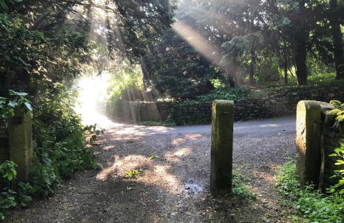 Wildfern Cottage by Birch Stays - Foto 14