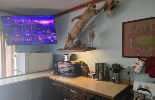 Jake's Bed & Bar - Foto 2