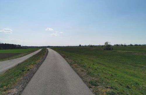 "Elbparadies" Ferienhaus am Niegripper See mit Pool - Photo 24