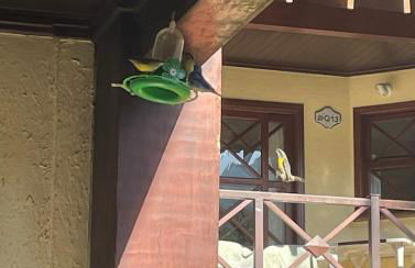 Casa em Condomínio Maresias frente a praia - Foto 11