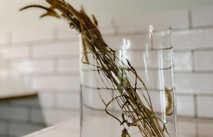 Alto el Monte 2 - AR1414 - Foto 9