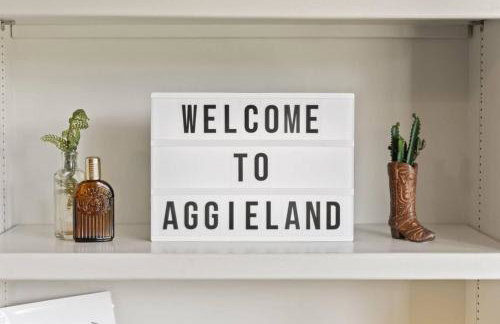 Pet-Friendly Aggie Village - Fire Pit Games and walk to Texas AnM - Foto 54