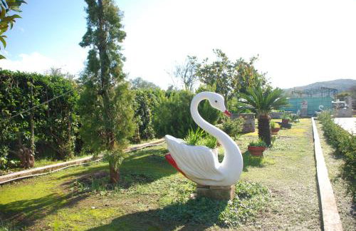 EVIA RIVIERA - Photo 50