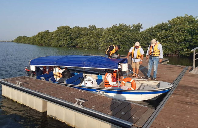 Tour por la Ciénaga Grande de Santa Marta - Foto 4