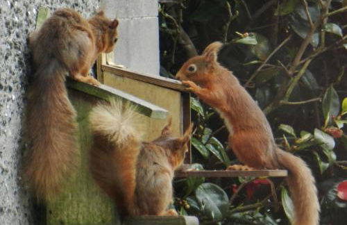 Garden Cottage - Foto 33