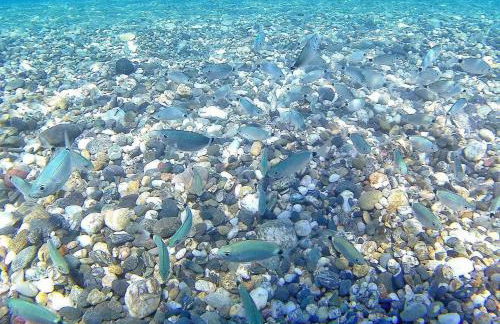 Casa Vacanza Perla Marina - Foto 14