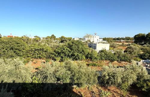 Villa Grazia - Foto 48