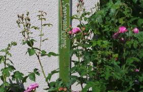 Ferienwohnung Sonnenblume - Foto 16