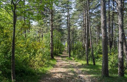 Kostrena - SIDRO - Foto 31