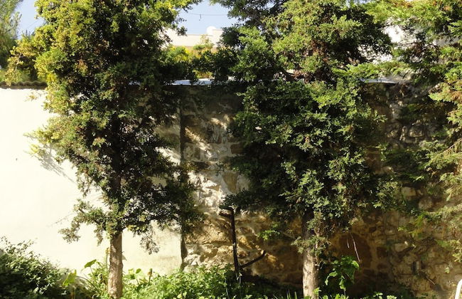 Villa Arokaria - Foto 13