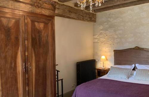 Gîte de charme avec jardin au cœur des châteaux, WiFi, parking inclus - FR-1-381-543 - Foto 22