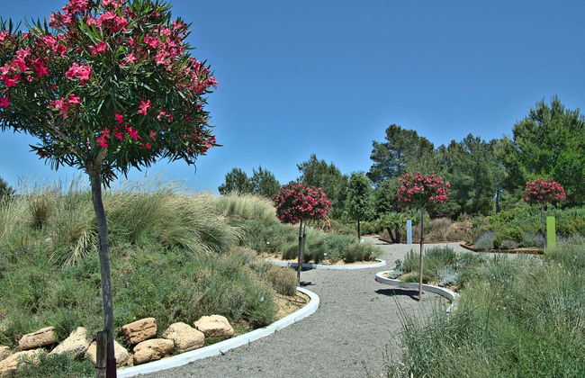 Ibiza Biotechnological Botanical Garden Tour - Photo 6