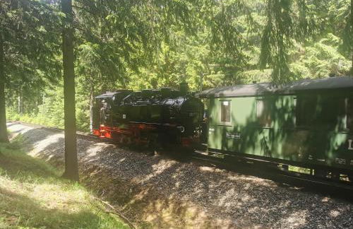 Berghaus am Felsbruch Oberwiesenthal OT Hammerunterwiesenthal - Foto 33