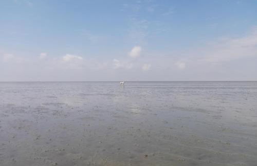 Ellie-Ferienhaus Strandräuber - VS1 - Foto 28