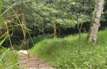 The Woodstore - Foto 9