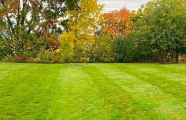 Family-Friendly Home CLOSE to SYR Univ DWNTWN & THE DOME! Location Location Location - Foto 12