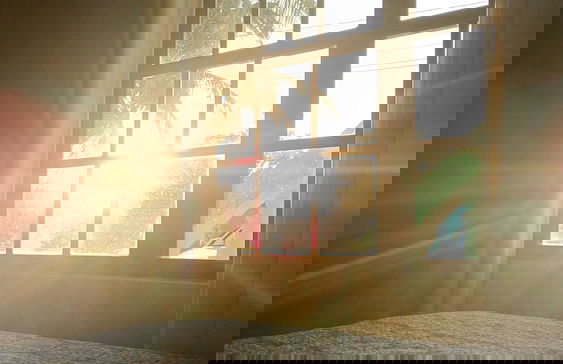 Bamboleo Inn Belize - Foto 2