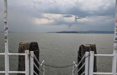 Chalet sul Trasimeno - Photo 14