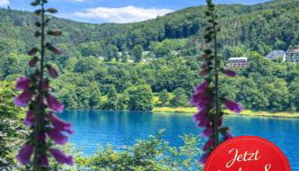 Ferienhaus Seeblick - Foto 3