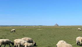 Sunset Family Guesthouse Mont Saint Michel - Foto 5