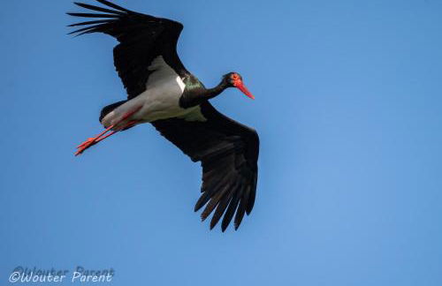 Haus Schönblick - Foto 34