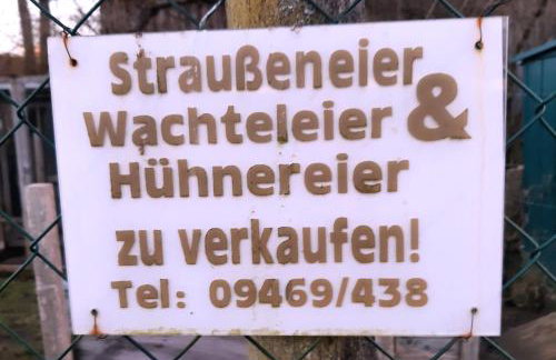 Bungalow direkt am See, mit eigenem Boot - Foto 70