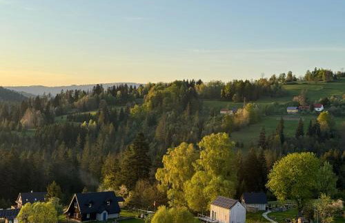 Domek Mecenasa - Foto 13