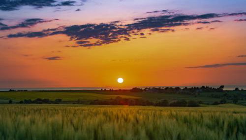 Lütte Deern - Foto 5