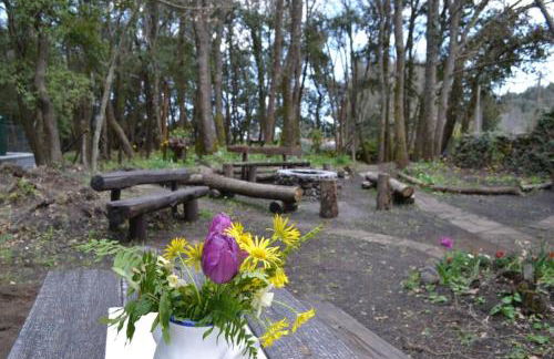 Intry Etna Chalet - Foto 55