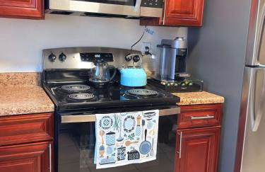 Independence Day Best Fireworks View July 6 - Foto 15