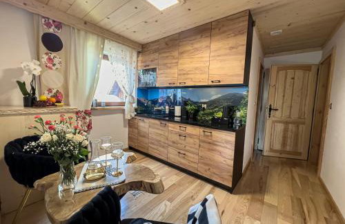 Pensjonat Dzianiszówka - Basen Jacuzzi Sauna - Foto 62