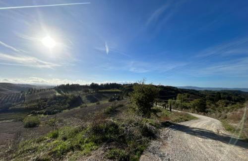 Il Giardino degli Ulivi - Foto 23