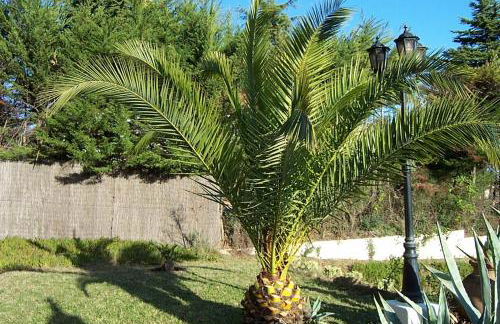 Villa Casa rosa Maria - Foto 11